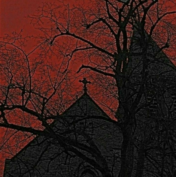 intro - Picture 4 of 4